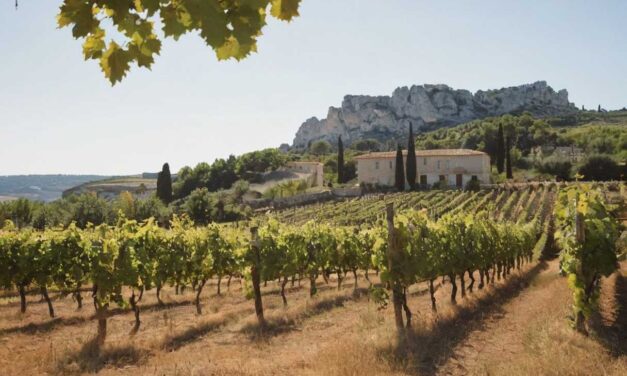 À la découverte du domaine Hauvette et ses vins bio dans les Baux de Provence